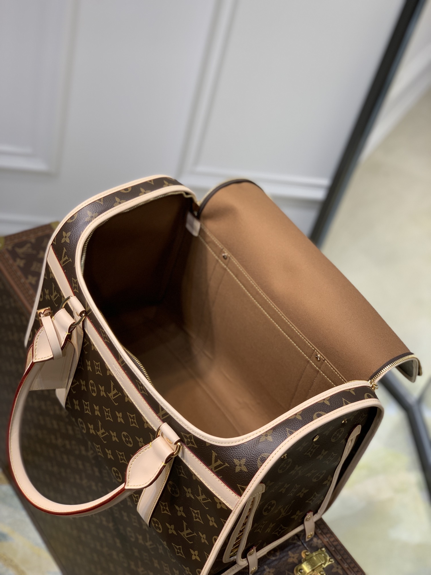 LV Travel Bags